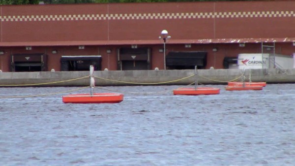 Wait a minute.  So those are my trucks behind that seawall?  (Photo courtesy of Mike Richards)